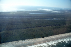 Anser Lake Aerial