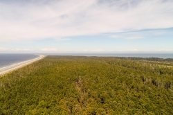 Anser Lake Aerial