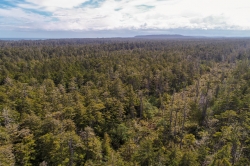 Anser Lake Aerial