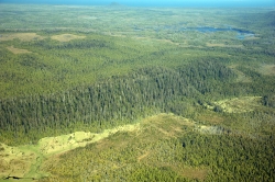 Aerial Blue Danube