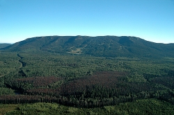 Murray Ridge Ski Hill in the summer