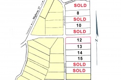 Subdivision Map