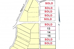 Subdivision Map