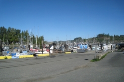 Port Hardy Marina