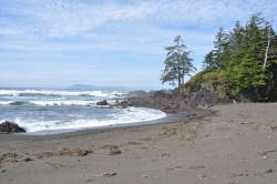 Cape Scott