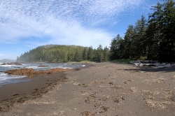 Cape Scott