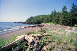 Cape Scott