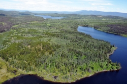 Day Lake Aerial