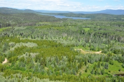 Day Lake Aerial