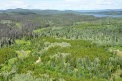 Day Lake Aerial