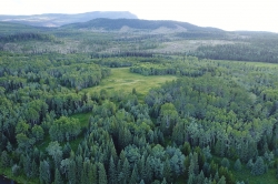 Day Lake Aerial