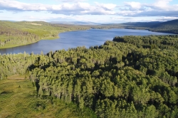 Day Lake Aerial