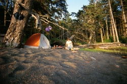 Camping