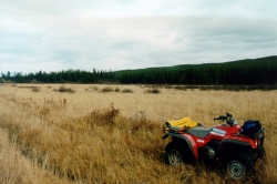 ATV at Sherringham Meadows