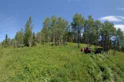 ATV at Parrot Trail