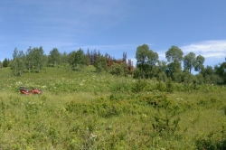 ATV at Parrot Trail