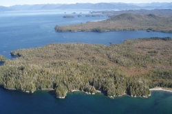 Looking West at Goble Point