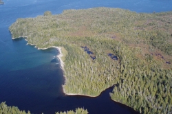 Looking West at Goble Point