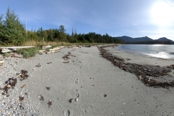 The West end beach