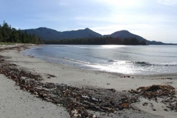 The West end beach Looking South