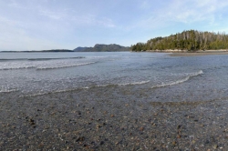 The West end beach