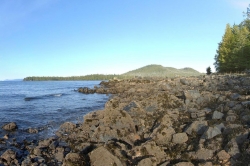 On the East Shoreline Looking West End Property