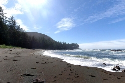 Beach on Cape Scott Provincial Park
