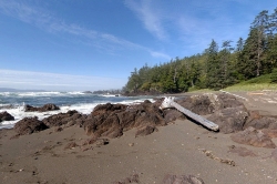 Beachfront, Cape Scott Provincial Park, Vancouver Island