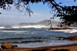 Cape Scott Provincial Park, Vancouver Island