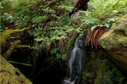 Cape Scott Provincial Park, Vancouver Island