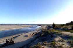 Dixon Estates, Haida Gwaii