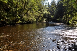 Fisherman River at Cape Scott Provincial Park