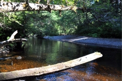 Fisherman River at Cape Scott Provincial Park