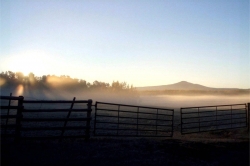 Fog behind the gates, Nulki Lake