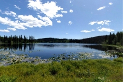 Lake near Noralee Trails, Lakes District