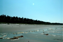 Naikoon Provincial Park, Haida Gwaii