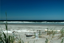 Naikoon Provincial Park, Haida Gwaii