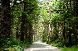 Naikoon Provincial Park, Haida Gwaii