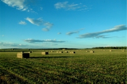 Nulki Lake Ranch