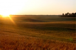 Peeking over the hill