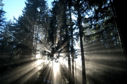 Naikoon Provincial Park, Haida Gwaii