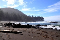 Sandy beach in Cape Scott Provincial Park, Vancouver Island