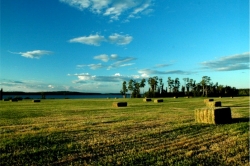 Tachick Lake near Vanderhoof