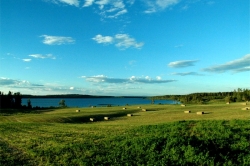 Tachick Lake near Vanderhoof