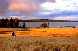 Tachick Lake near Vanderhoof