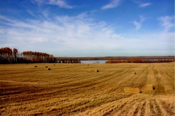 Tachick Lake near Vanderhoof