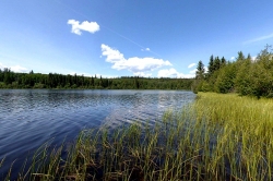 Tsichgass Lake, Omineca Region