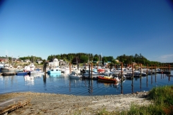 Masset Marina