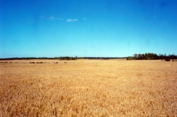 Photo03