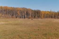 Photo09